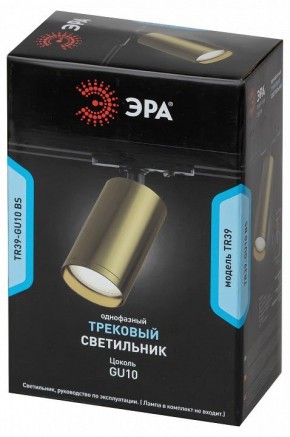 Светильник на штанге Эра  TR39-GU10 BS в Соликамске - solikamsk.ok-mebel.com | фото 4