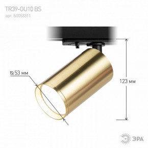 Светильник на штанге Эра  TR39-GU10 BS в Соликамске - solikamsk.ok-mebel.com | фото 6