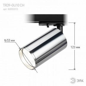 Светильник на штанге Эра  TR39-GU10 СН в Соликамске - solikamsk.ok-mebel.com | фото 7