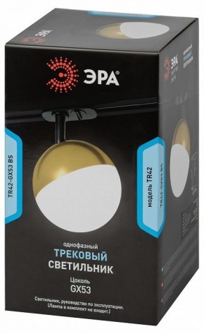 Светильник на штанге Эра  TR42-GX53 BS в Соликамске - solikamsk.ok-mebel.com | фото 6