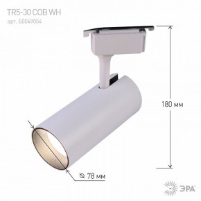 Светильник на штанге Эра  TR5-30 COB WH в Соликамске - solikamsk.ok-mebel.com | фото 6