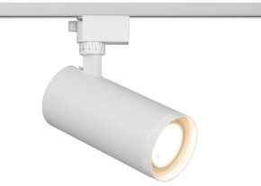Светильник на штанге Эра  TR59 - 3030 WH в Соликамске - solikamsk.ok-mebel.com | фото