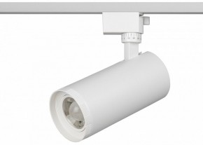 Светильник на штанге Эра  TR59 - 3030 WH в Соликамске - solikamsk.ok-mebel.com | фото 2