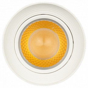 Светильник на штанге Эра  TR59 - 3030 WH в Соликамске - solikamsk.ok-mebel.com | фото 3