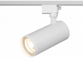 Светильник на штанге Эра  TR59 - 3030 WH в Соликамске - solikamsk.ok-mebel.com | фото 5