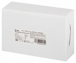 Светильник на штанге Эра  TRM-S5-3-12W4K-BK в Соликамске - solikamsk.ok-mebel.com | фото 8