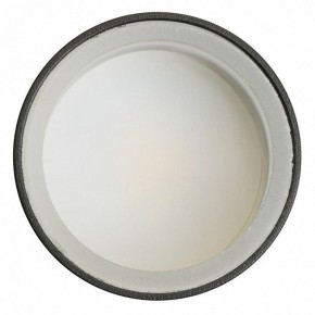 Светильник на штанге Feron ML1001 51371 в Соликамске - solikamsk.ok-mebel.com | фото 4