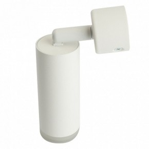 Светильник на штанге Feron ML1021 51390 в Соликамске - solikamsk.ok-mebel.com | фото 3