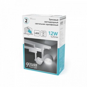 Светильник на штанге Gauss Track Light TR054 в Соликамске - solikamsk.ok-mebel.com | фото 5