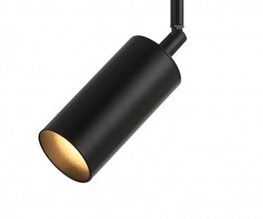 Светильник на штанге Kink Light Рия 07621-1,19 в Соликамске - solikamsk.ok-mebel.com | фото 2