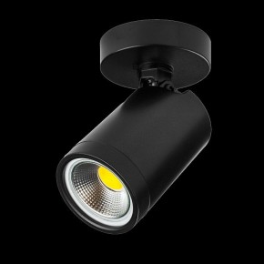 Светильник на штанге Lightstar Rullo 213407 в Соликамске - solikamsk.ok-mebel.com | фото 2