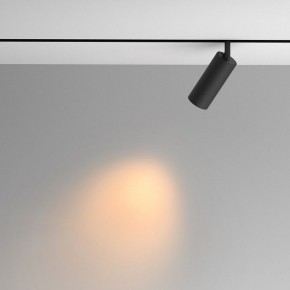 Светильник на штанге Maytoni Artisan TR097-2-12W2.7K-M-BB в Соликамске - solikamsk.ok-mebel.com | фото 4