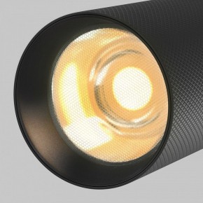 Светильник на штанге Maytoni Artisan TR097-2-12W2.7K-M-BB в Соликамске - solikamsk.ok-mebel.com | фото 9