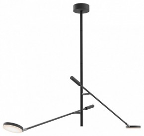 Светильник на штанге Maytoni Fad MOD070CL-L15B3K1 в Соликамске - solikamsk.ok-mebel.com | фото