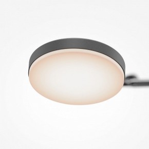 Светильник на штанге Maytoni Fad MOD070CL-L15B3K1 в Соликамске - solikamsk.ok-mebel.com | фото 7