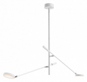 Светильник на штанге Maytoni Fad MOD070CL-L15W3K1 в Соликамске - solikamsk.ok-mebel.com | фото