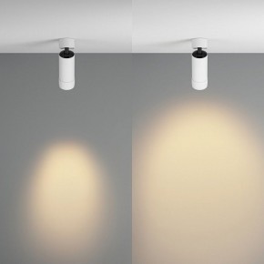 Светильник на штанге Maytoni Focus Zoom C055CL-L12W2.7K-Z-W в Соликамске - solikamsk.ok-mebel.com | фото 3