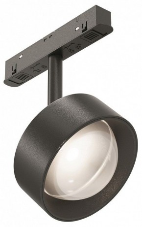 Светильник на штанге Maytoni Lens TR217-2-15W4K-B в Соликамске - solikamsk.ok-mebel.com | фото