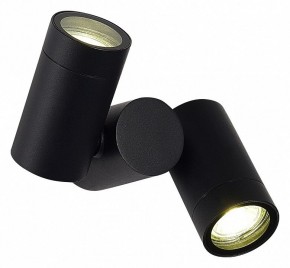 Светильник на штанге ST-Luce Ecollo SL9011.402.02 в Соликамске - solikamsk.ok-mebel.com | фото 2