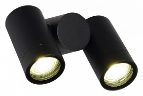 Светильник на штанге ST-Luce Ecollo SL9011.402.02 в Соликамске - solikamsk.ok-mebel.com | фото 3