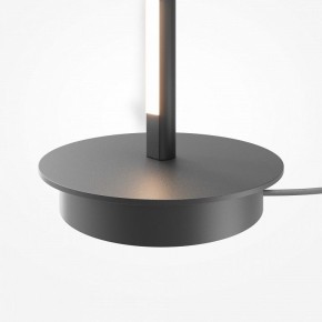 Торшер Maytoni Thin MOD395FL-L28B3K в Соликамске - solikamsk.ok-mebel.com | фото 8