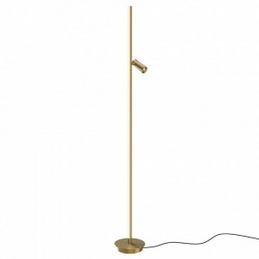 Торшер Maytoni Thin MOD395FL-L28BS3K в Соликамске - solikamsk.ok-mebel.com | фото