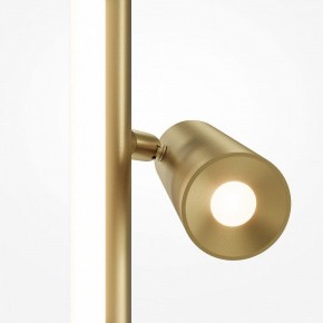 Торшер Maytoni Thin MOD395FL-L28BS3K в Соликамске - solikamsk.ok-mebel.com | фото 5