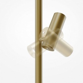 Торшер Maytoni Thin MOD395FL-L28BS3K в Соликамске - solikamsk.ok-mebel.com | фото 6