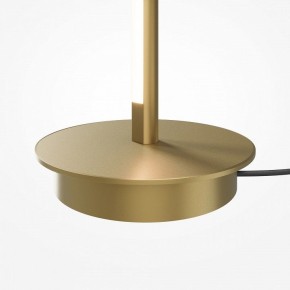 Торшер Maytoni Thin MOD395FL-L28BS3K в Соликамске - solikamsk.ok-mebel.com | фото 7
