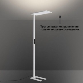 Торшер Novotech STUDI 359545 в Соликамске - solikamsk.ok-mebel.com | фото 6