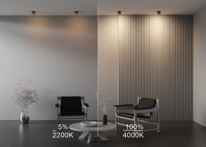 Встраиваемый светильник Maytoni Onda DL024-12W-DTW-BMG в Соликамске - solikamsk.ok-mebel.com | фото 9